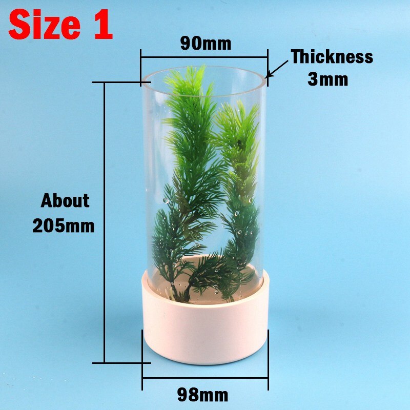 Diy Mini Fish Bowl