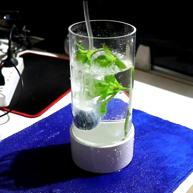 Diy Mini Fish Bowl