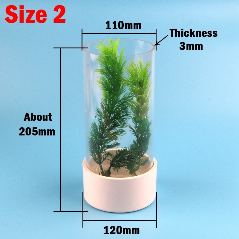 Diy Mini Fish Bowl