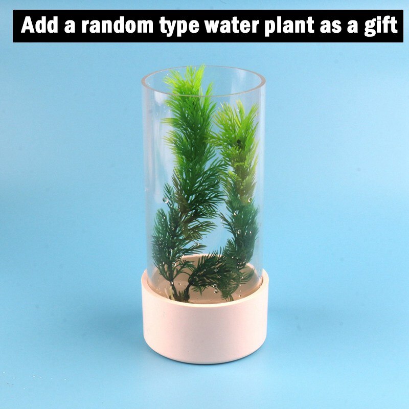 Diy Mini Fish Bowl