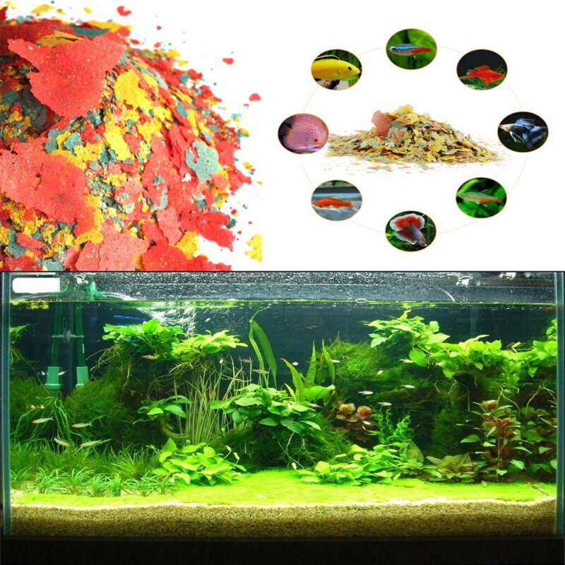 Fish Food Coloring And Brightening Feed