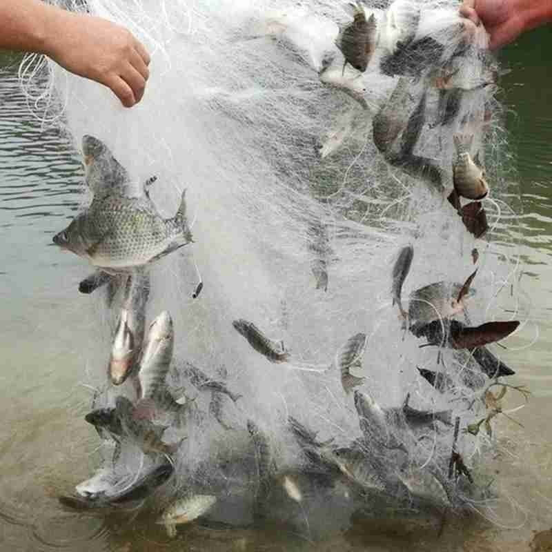 Fishing Net Single Mesh Float Trap