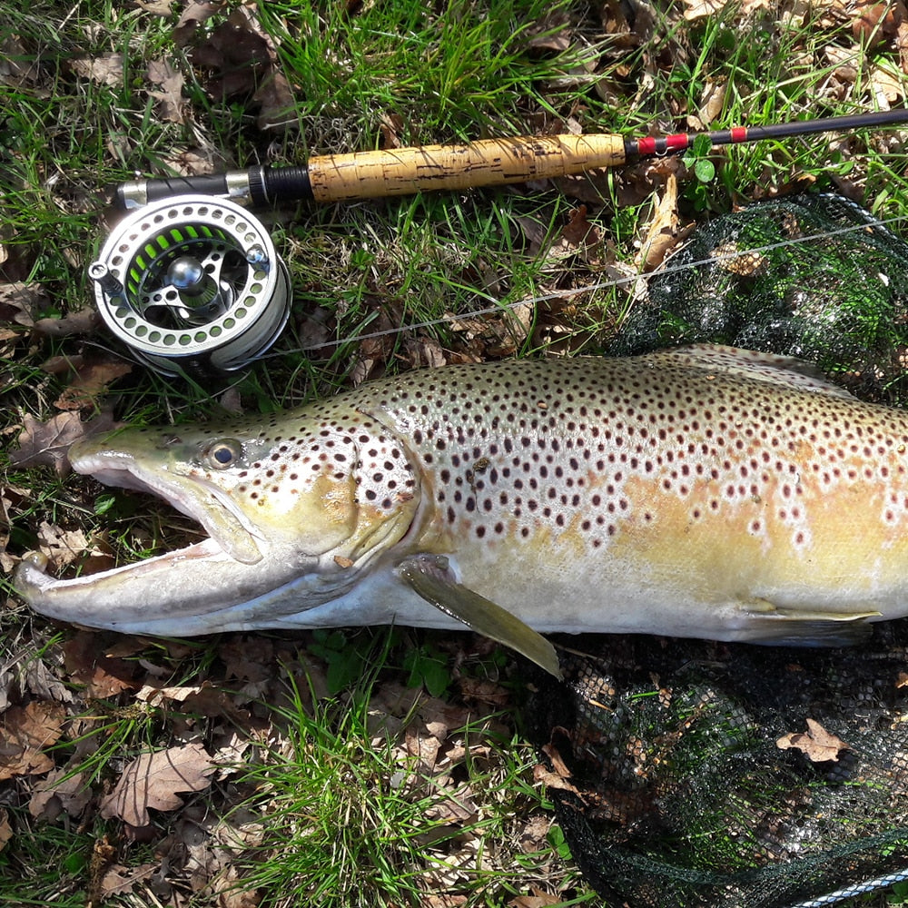 Goture Fly Fishing Reel CNC Machined