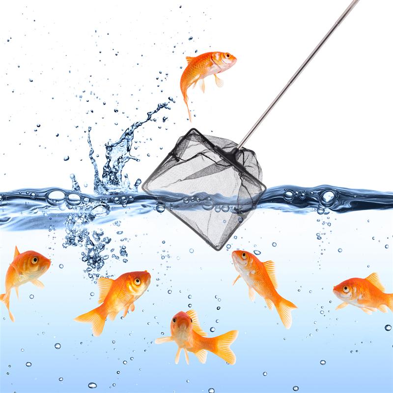Net Fish Aquarium Tank Small Mesh Handle