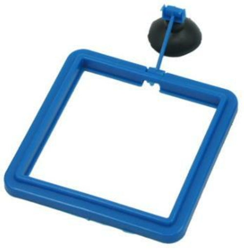 New Aquarium Floating Feeding Tray