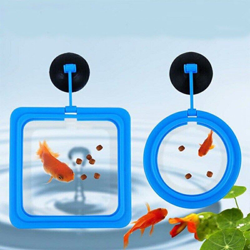 New Aquarium Floating Feeding Tray