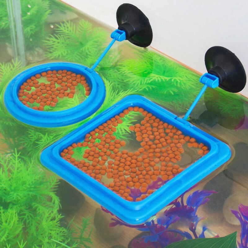 New Aquarium Floating Feeding Tray
