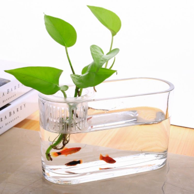 Simple Desktop Transparent Glass