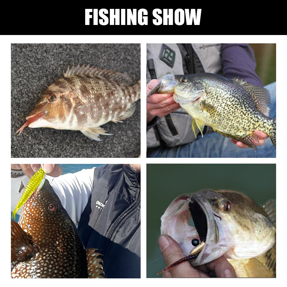 Spinpoler Drop Shot Rig Fishing
