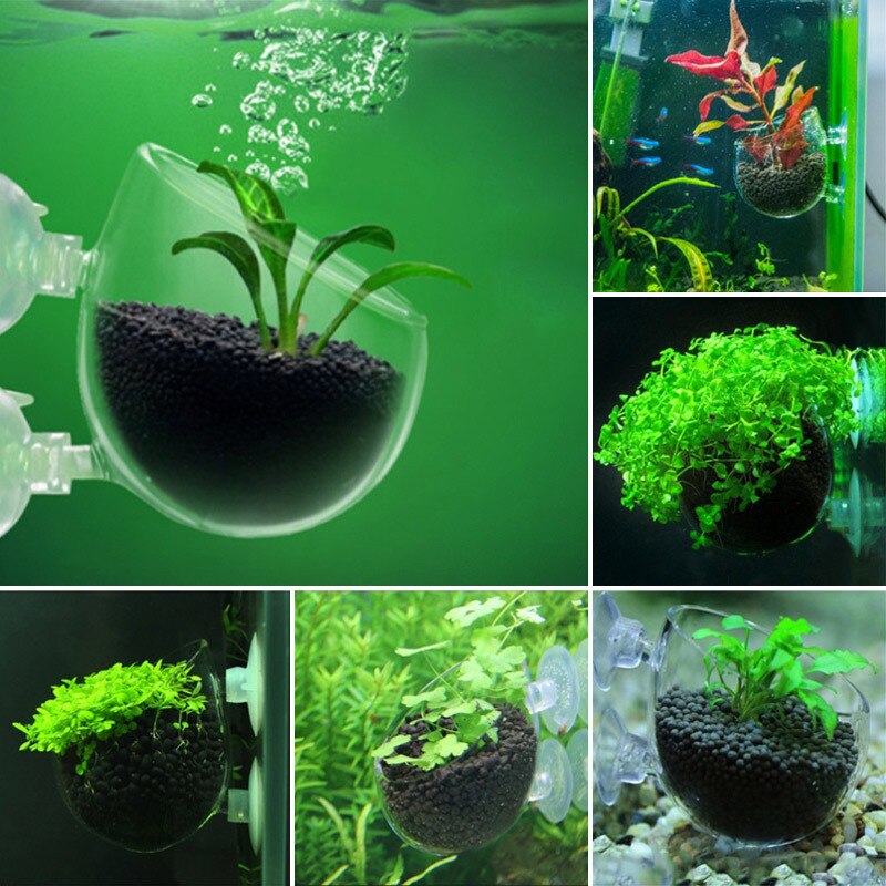 Aquarium Glass Vase Fish Tank