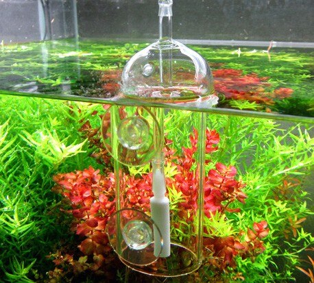 Aquarium Glass Dissolved Oxygen Water