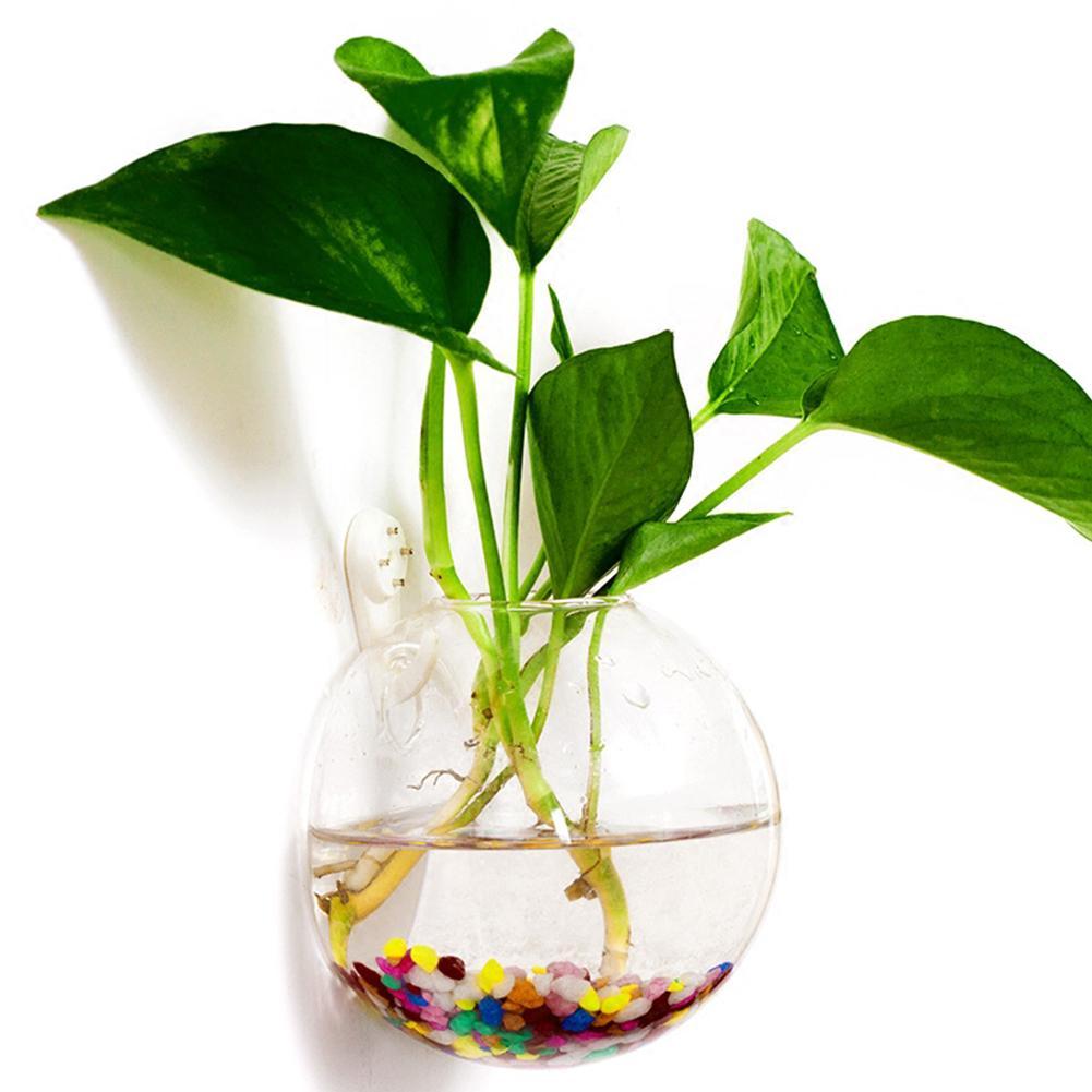 Wall Hanging Aquarium Fish Bowl