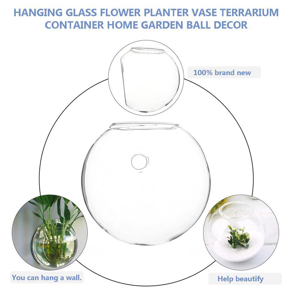 Wall Hanging Aquarium Fish Bowl