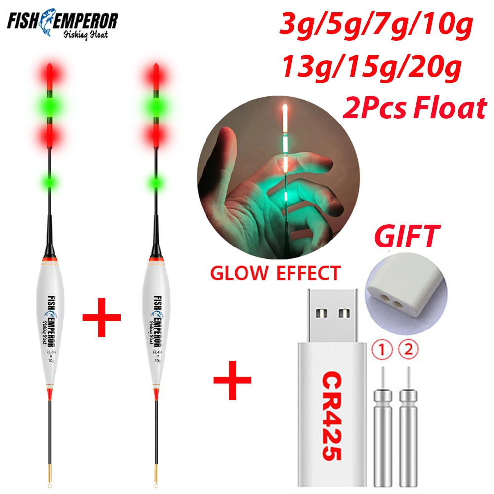 2023 New 2Pcs Fishing Float Set 3g/5g/7g/10g/13g/15g/20g Led Luminous