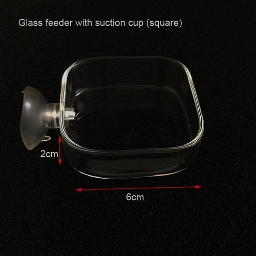 Glass Aquarium Feeding Accessories