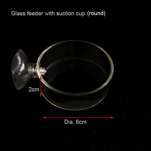 Glass Aquarium Feeding Accessories