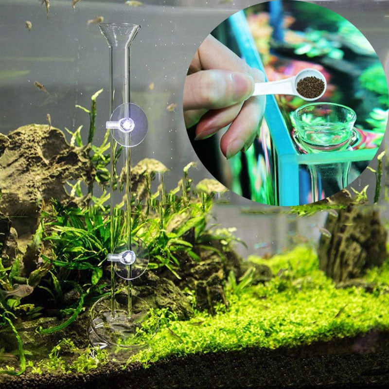 Glass Aquarium Feeding Accessories