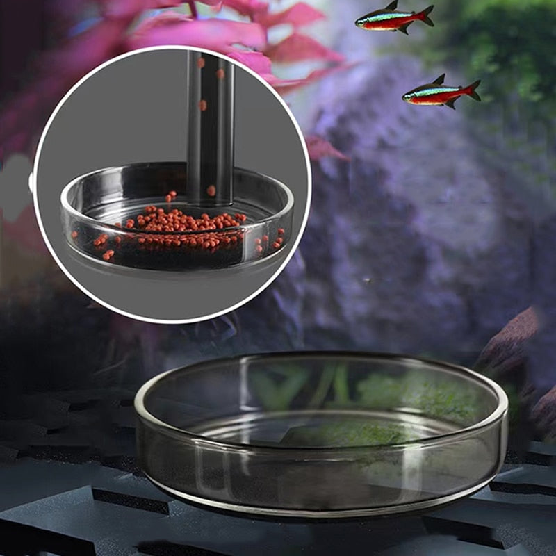 Glass Aquarium Feeding Accessories