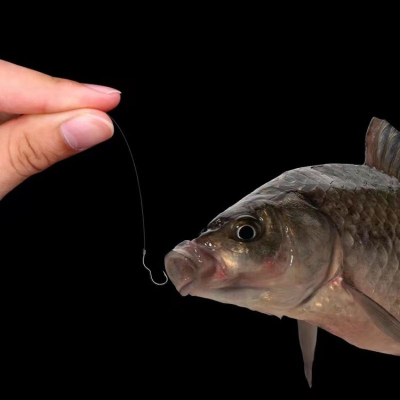 High Carbon Steel Fishing Hook Sharp