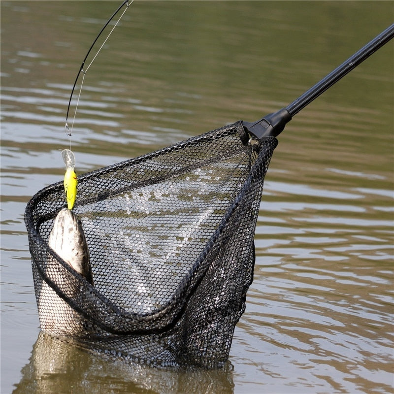 Fishing Accessories Landing Net | Fishing Landing Net Telescopic |