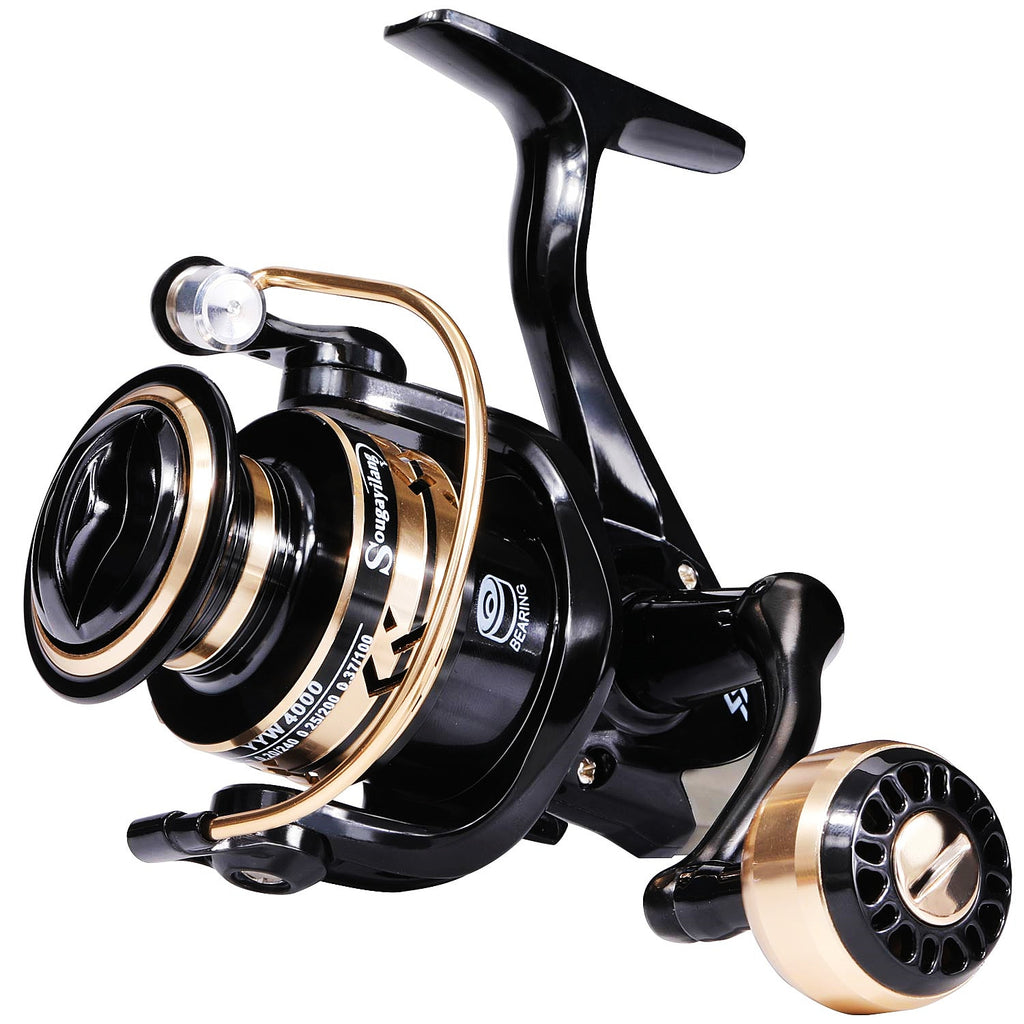 Spinning Fishing Reel and Rod