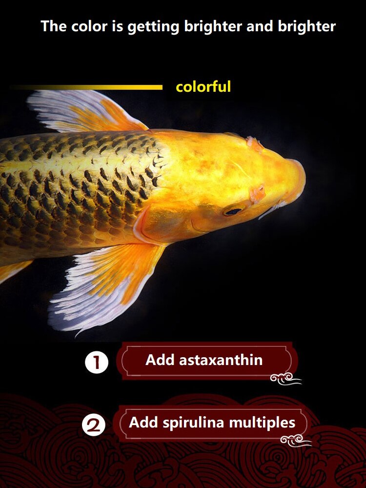 105g Brocade Carp Fish Feed