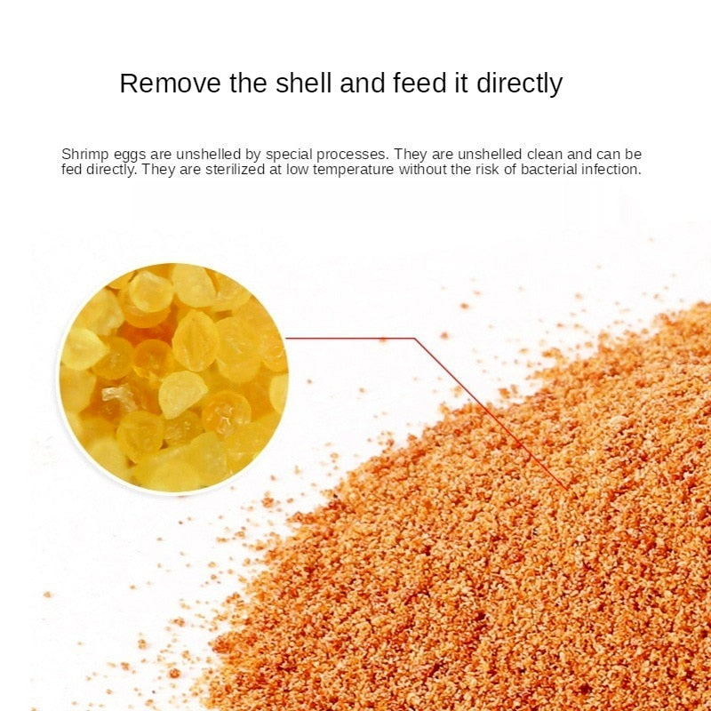 Aquarium Harvesting Shrimp Eggs