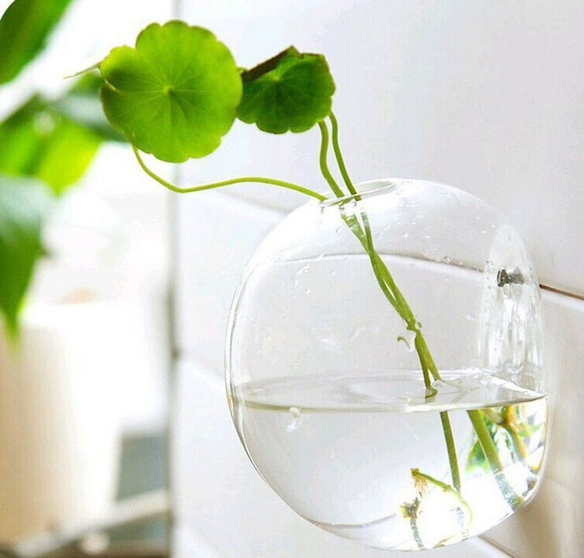 Hanging Flower Pot Glass Ball Vase