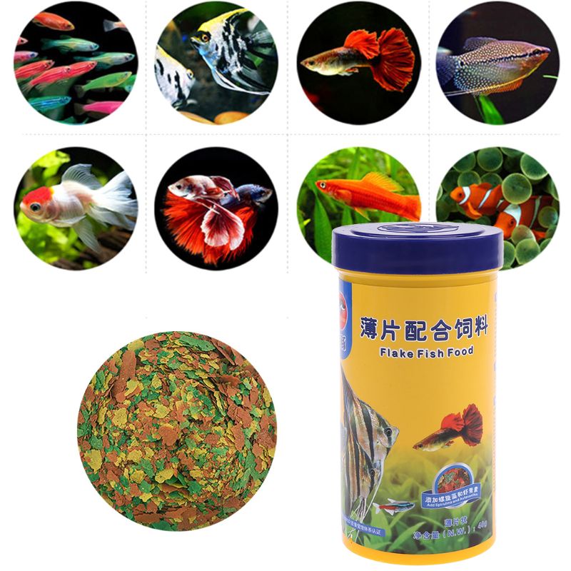 Fish Flakes For Aquarium Fish