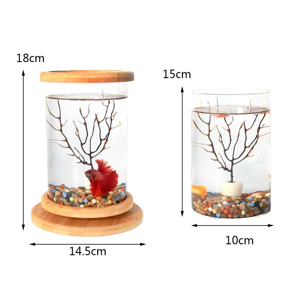 Mini Glass Fish Tank