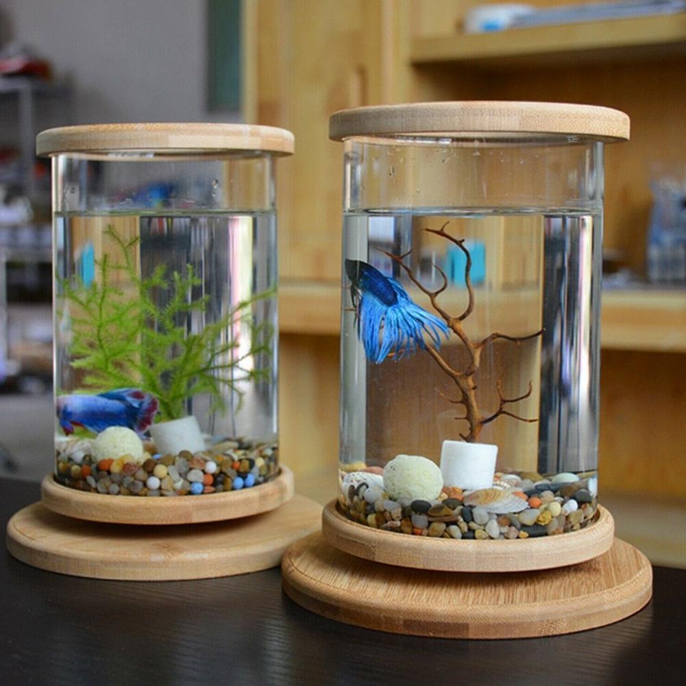 Mini Glass Fish Tank