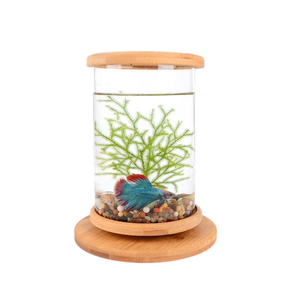 Mini Glass Fish Tank