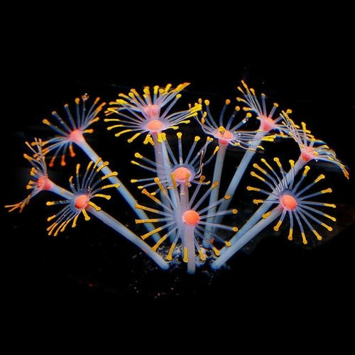 1Pc Silicone Glowing Artificial Fish Tank Aquarium Coral Plants