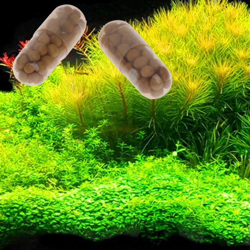 40 Pcs Aquatic Plant Water Root Organic Resin Wraps Fertilizer