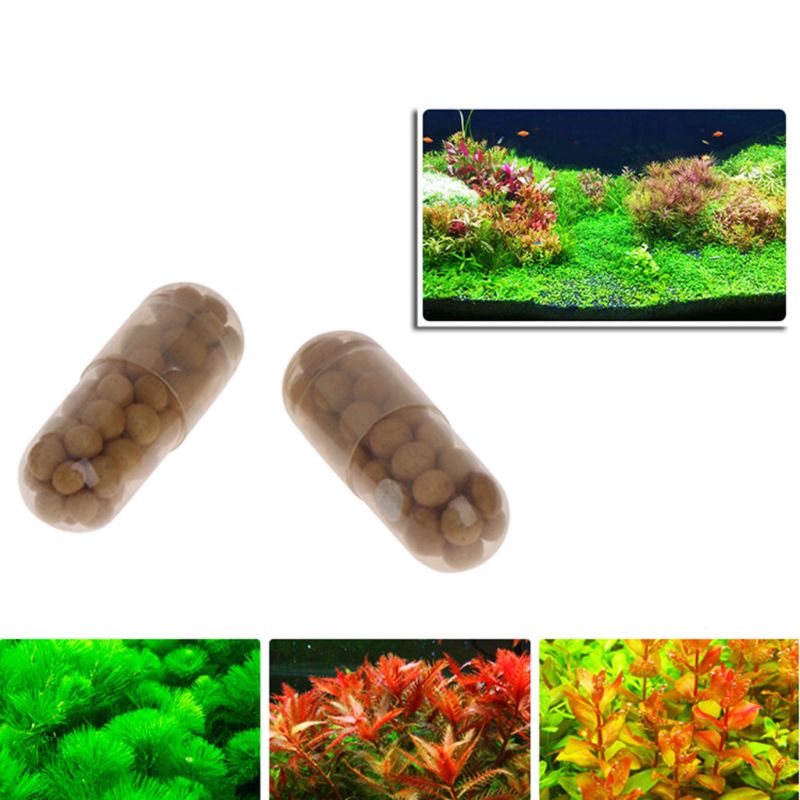 40 Pcs Aquatic Plant Water Root Organic Resin Wraps Fertilizer