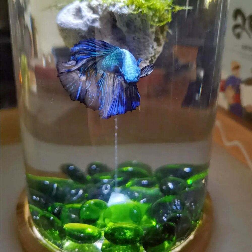 Fish Aquarium Round Beads