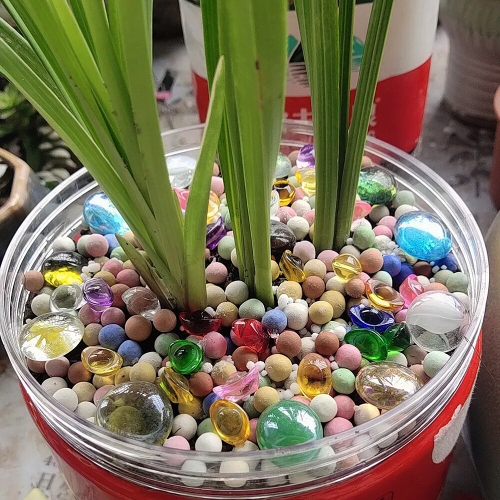 Fish Aquarium Round Beads