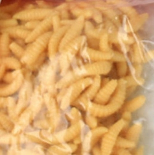 50pcs/bag Fishing Lure Maggot Grub