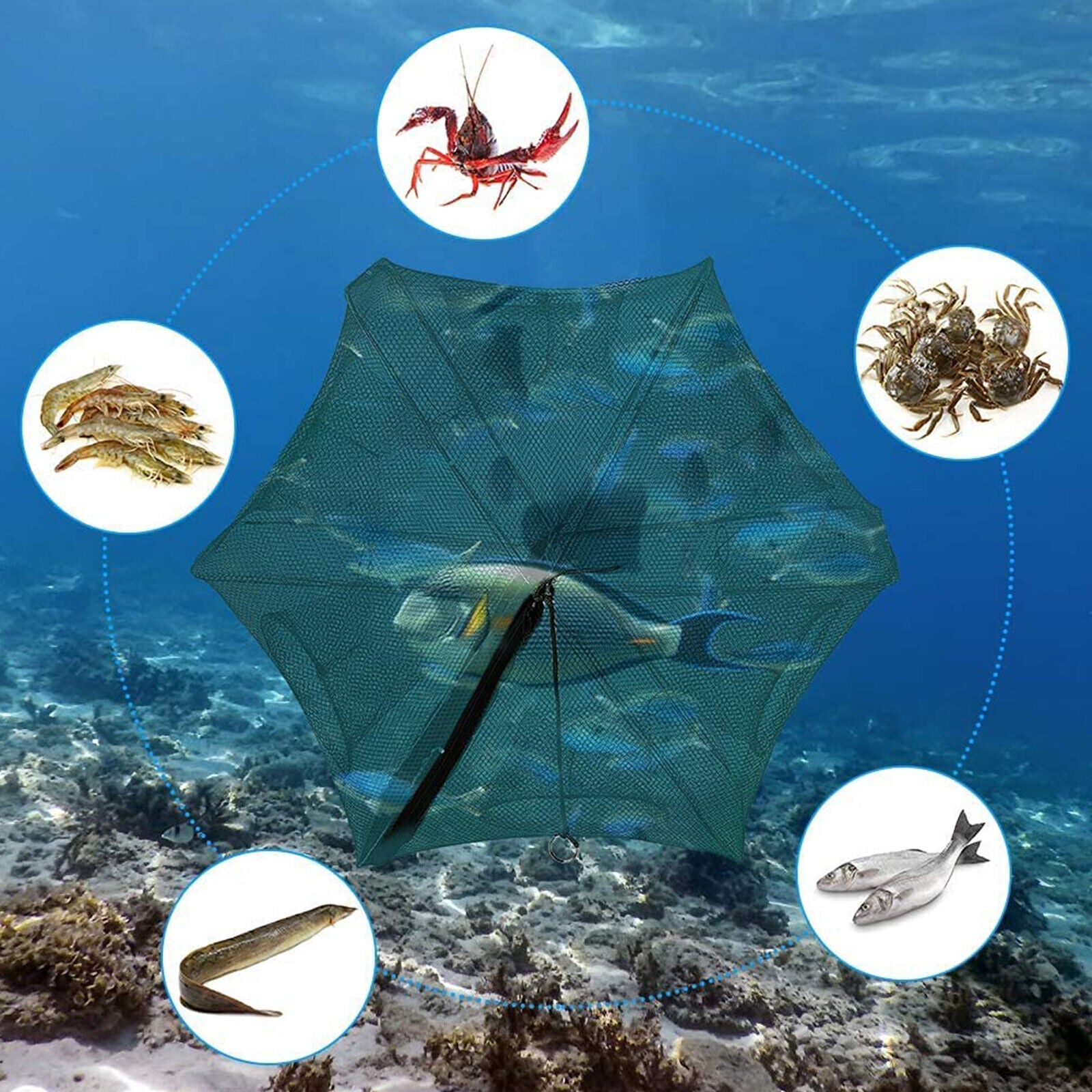 6 Hole Folding Fishing Net