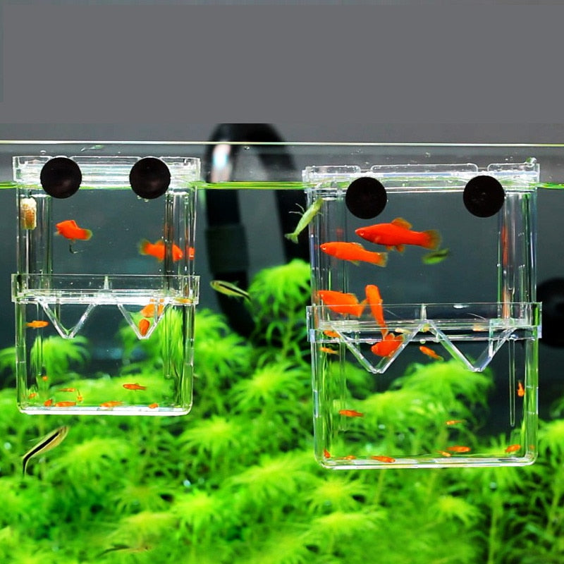 8*7*11cm Double-deck Clear Fish Breeding Isolation Box Aquarium