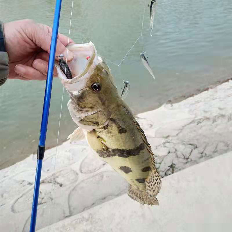 AS Cluster Soft Lure Fishing Bait