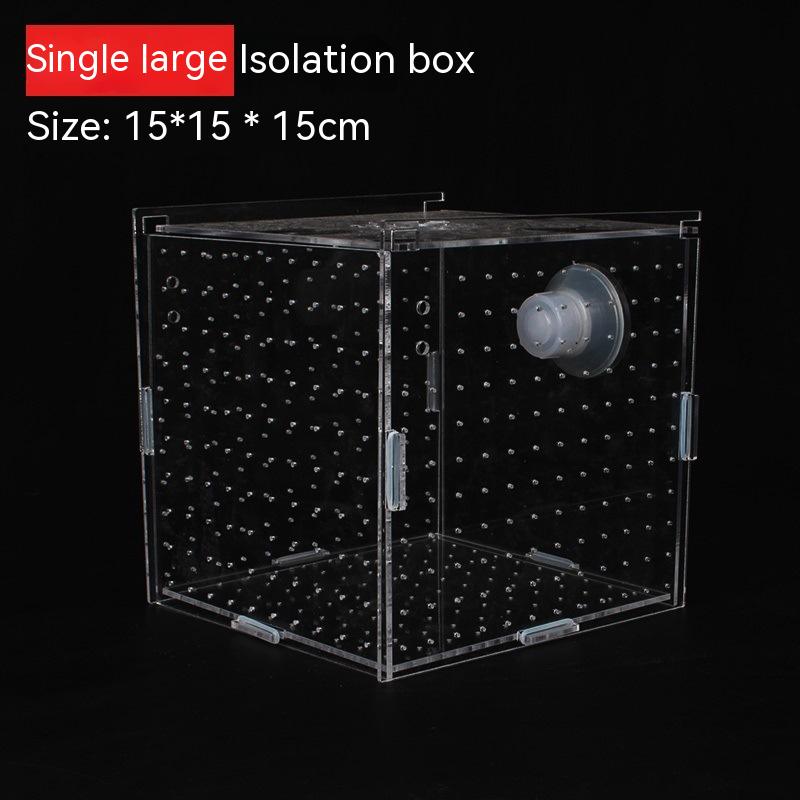 Aquarium Aquariumtransparent Incubator