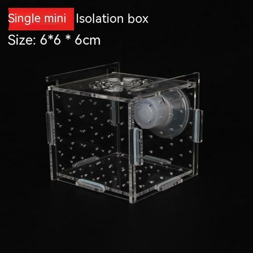 Aquarium Aquariumtransparent Incubator