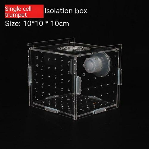 Aquarium Aquariumtransparent Incubator