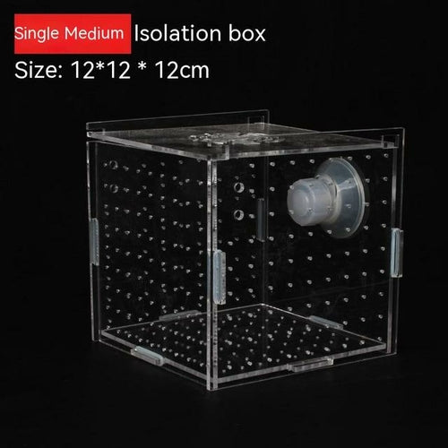 Aquarium Aquariumtransparent Incubator