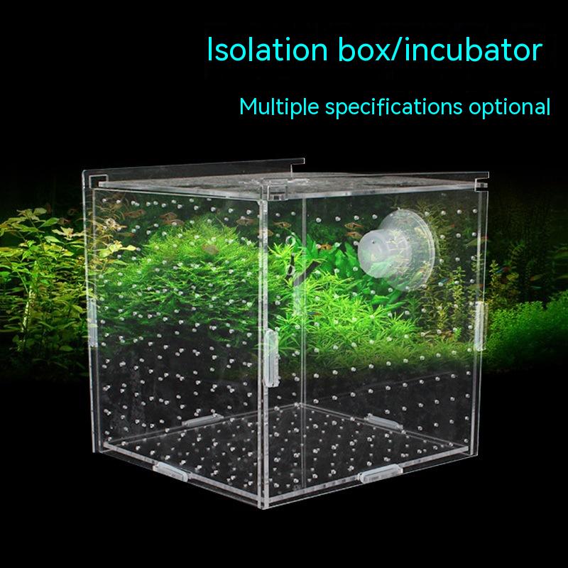 Aquarium Aquariumtransparent Incubator