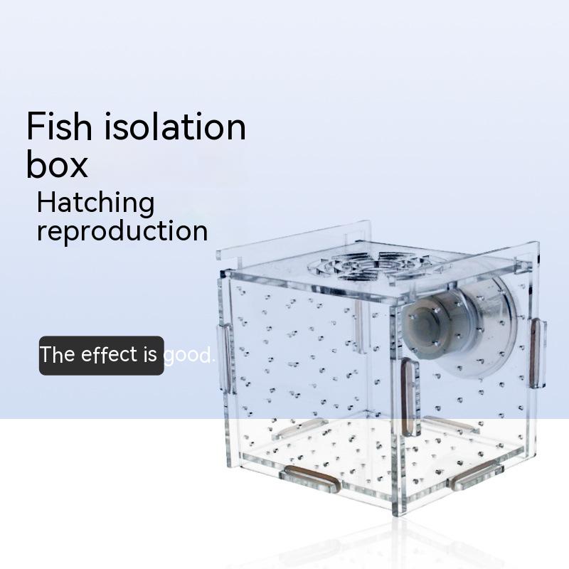 Aquarium Aquariumtransparent Incubator