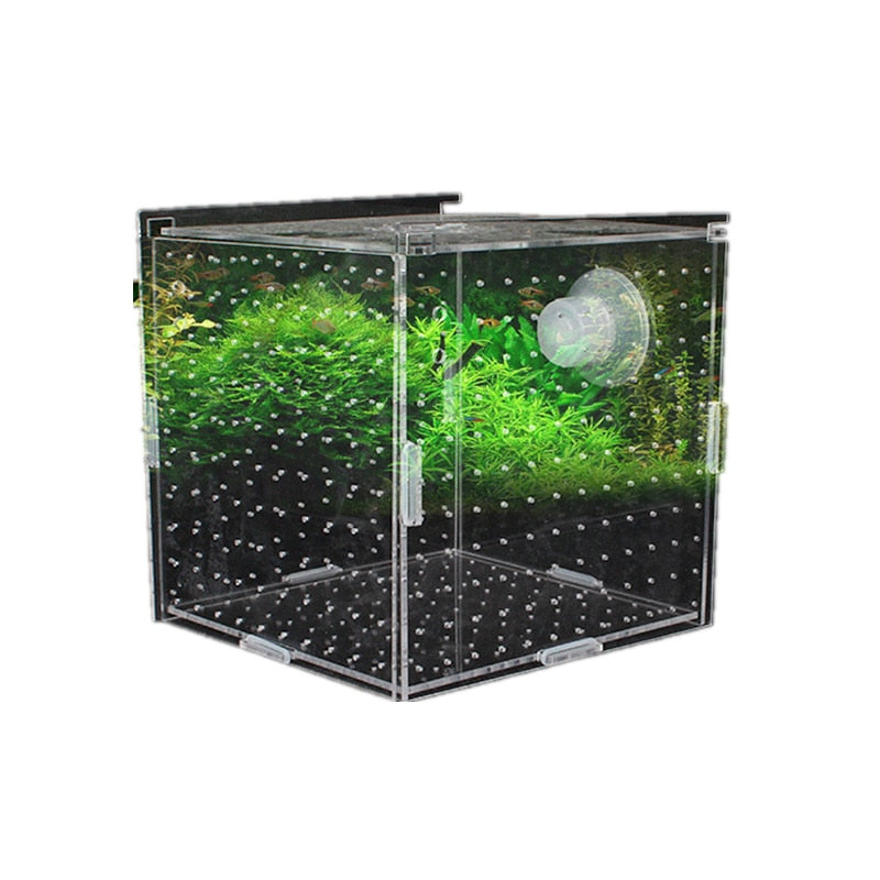 Aquarium Aquariumtransparent Incubator