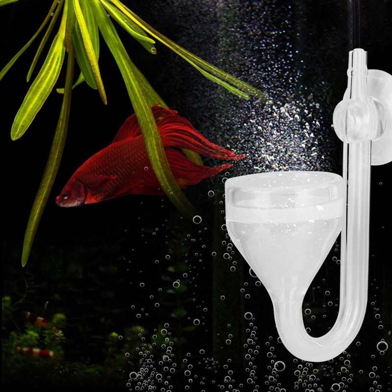 Aquarium CO2 Refiner Diffuser Transparent Glass Funnel Type Water
