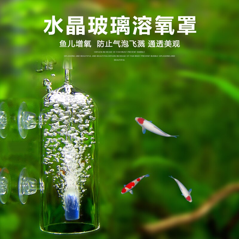 Aquarium Cylinder Crystal Glass Dissolved Oxygen Water Bubble Splash
